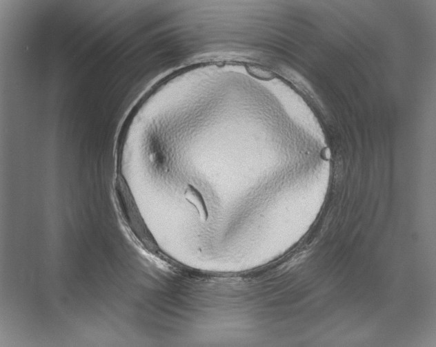X0000068810844200606021549