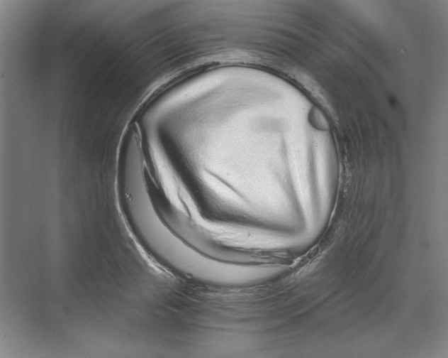 X0000068810845200606021549