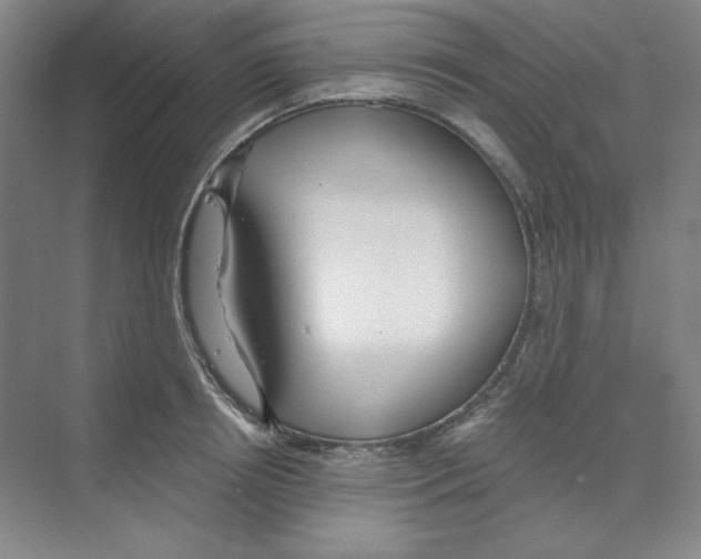 X0000068810850200606021549