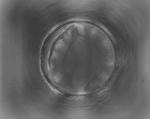 X0000068810853200606021549