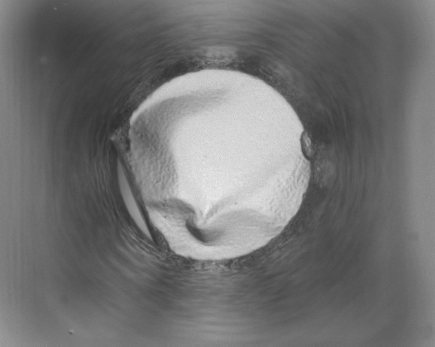 X0000068810866200606021548