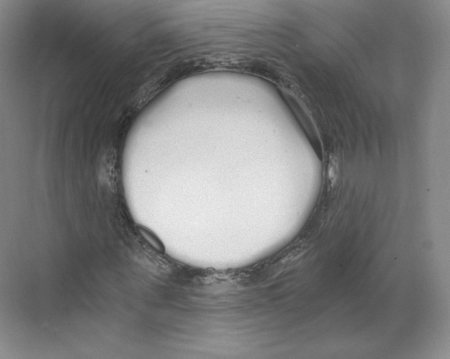 X0000068810867200606021548