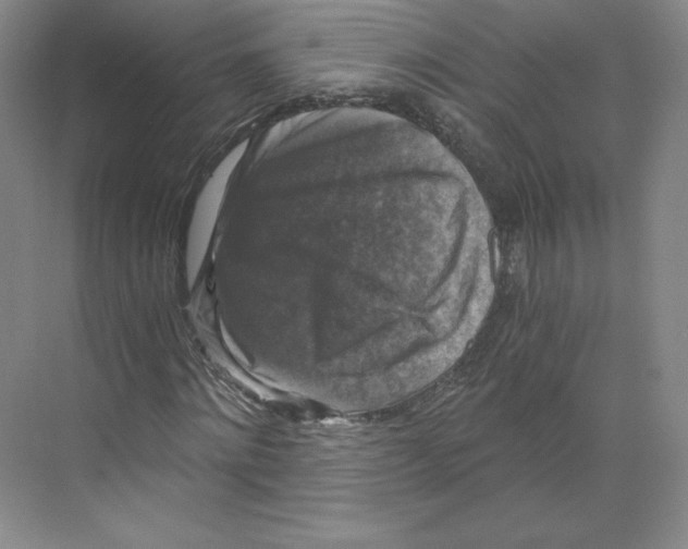 X0000068810868200606021548