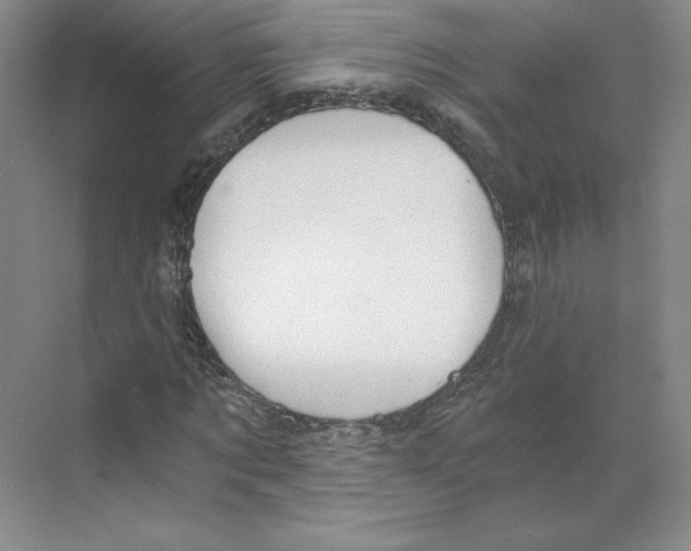 X0000068810869200606021548