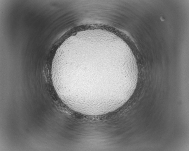 X0000068810871200606021548