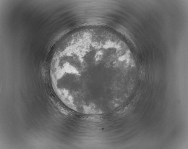 X0000068810874200606021548