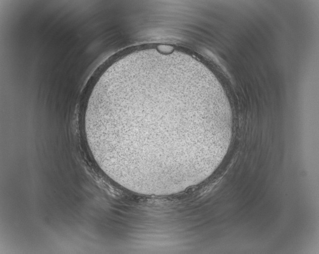 X0000068810875200606021548