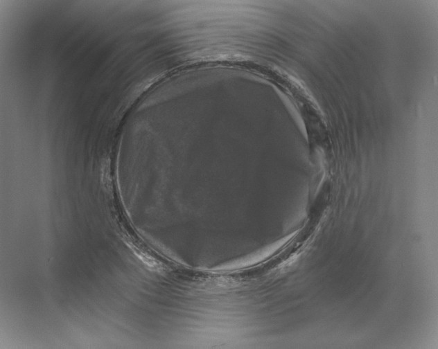 X0000068810881200606021548