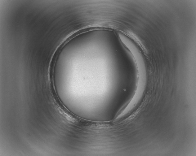 X0000068810884200606021548