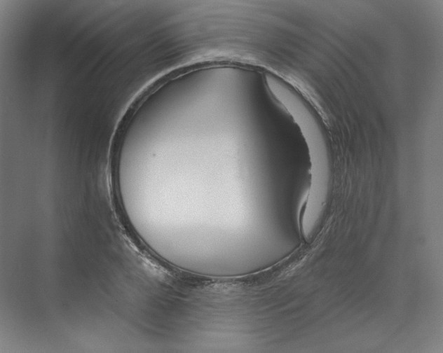 X0000068810888200606021548