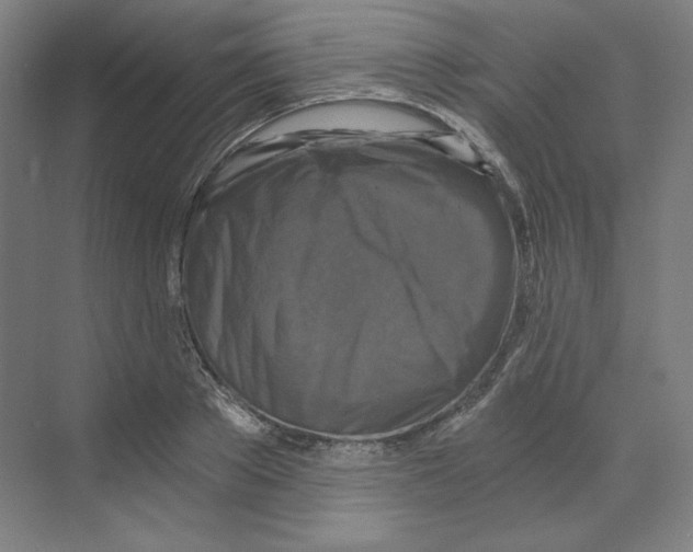 X0000068810889200606021548