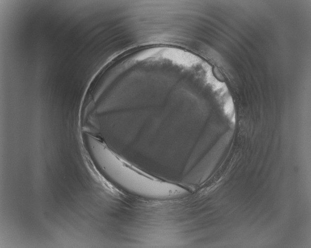 X0000068810892200606021548