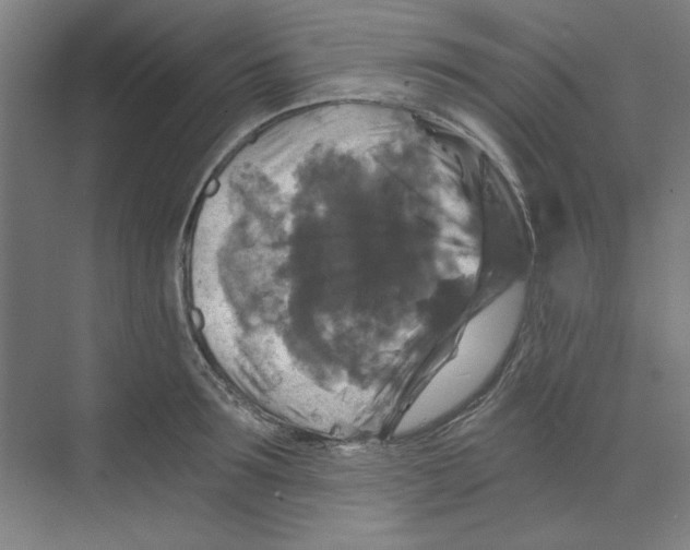 X0000068810899200606021548
