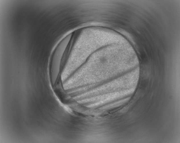 X0000068810910200606021548