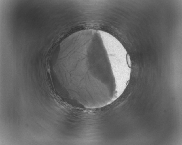 X0000068810913200606021547