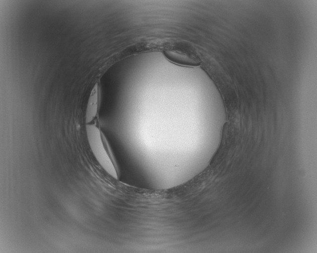 X0000068810914200606021547