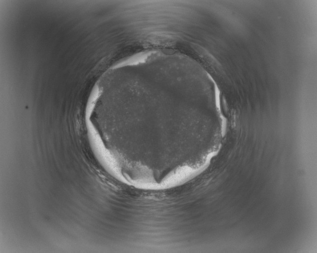X0000068810915200606021547