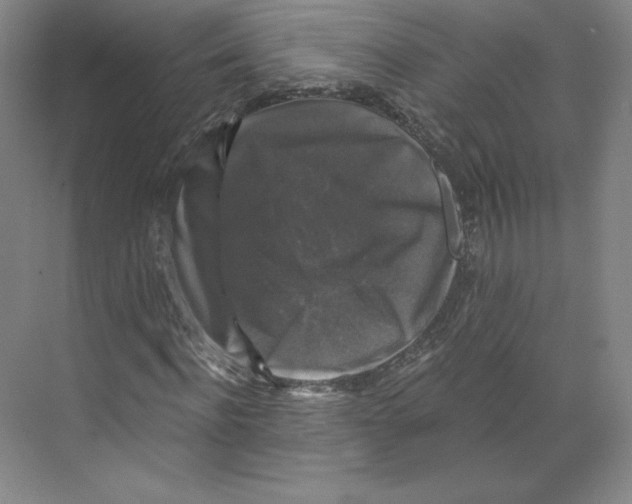 X0000068810916200606021547