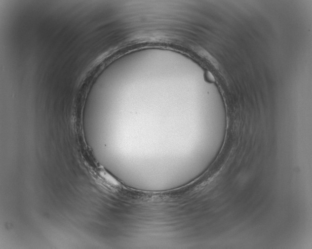 X0000068810922200606021547