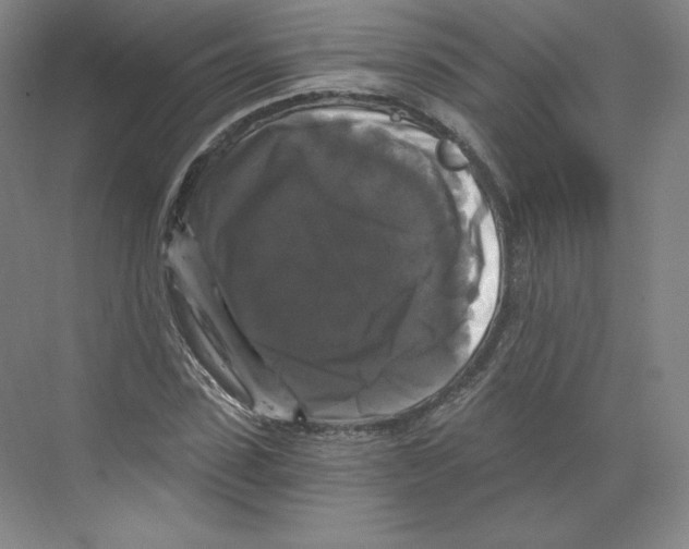 X0000068810923200606021547