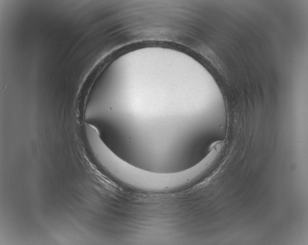 X0000068810926200606021547