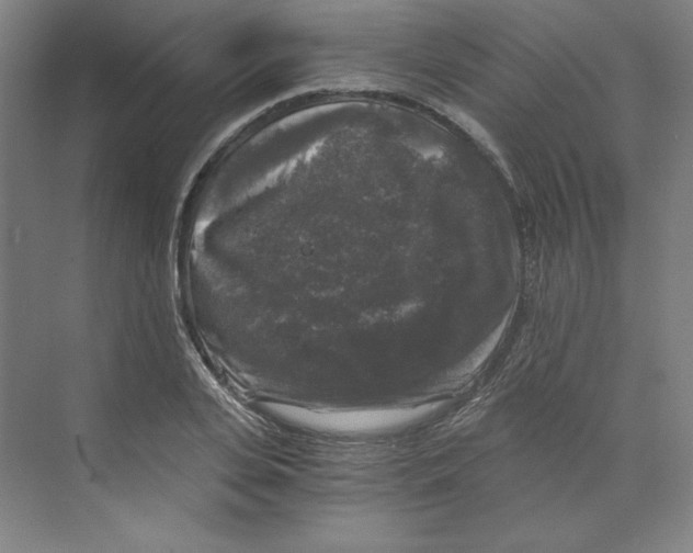 X0000068810935200606021547