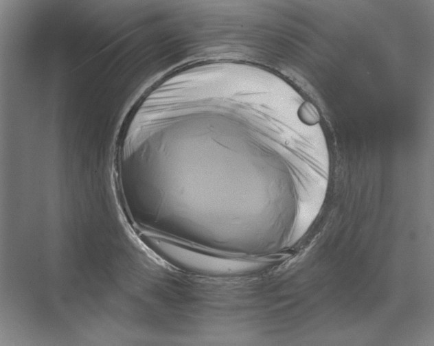 X0000068810941200606021547