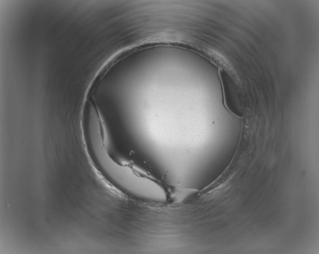 X0000068810942200606021547