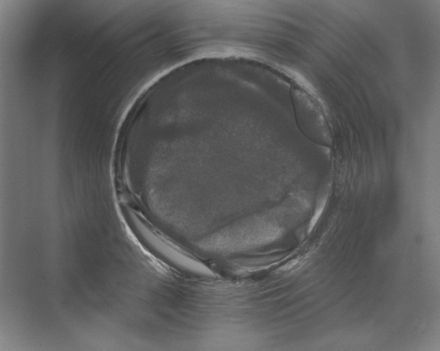 X0000068810943200606021547