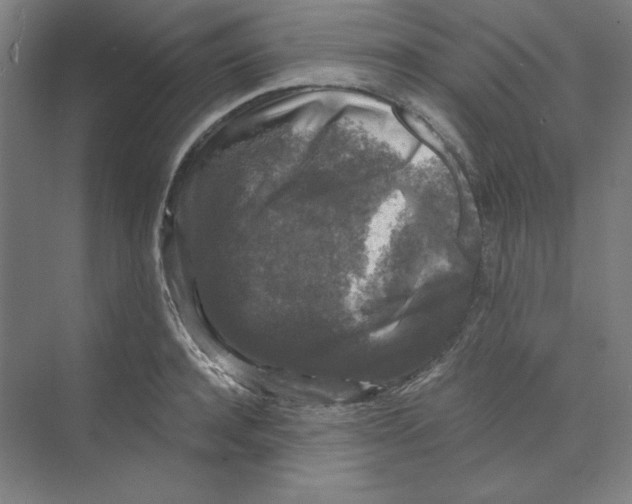 X0000068810944200606021547