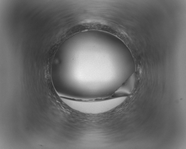 X0000068810965200606021547