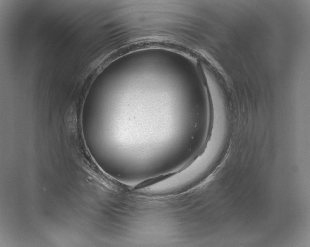 X0000068810969200606021547