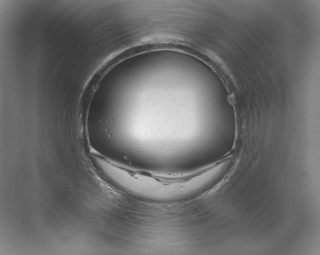 X0000068810973200606021546