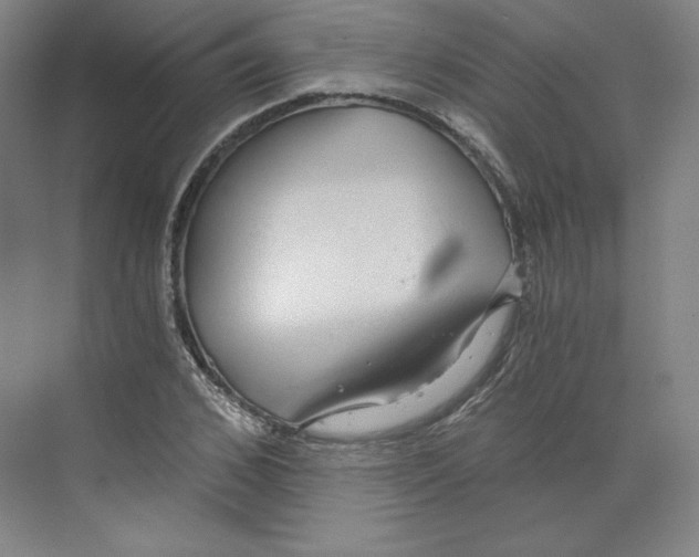 X0000068810976200606021546