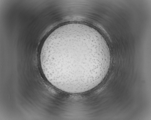 X0000068810978200606021546