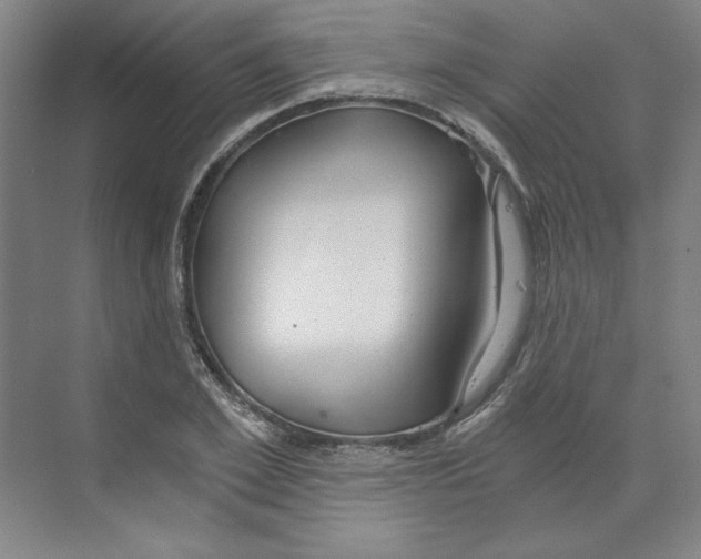 X0000068810981200606021546