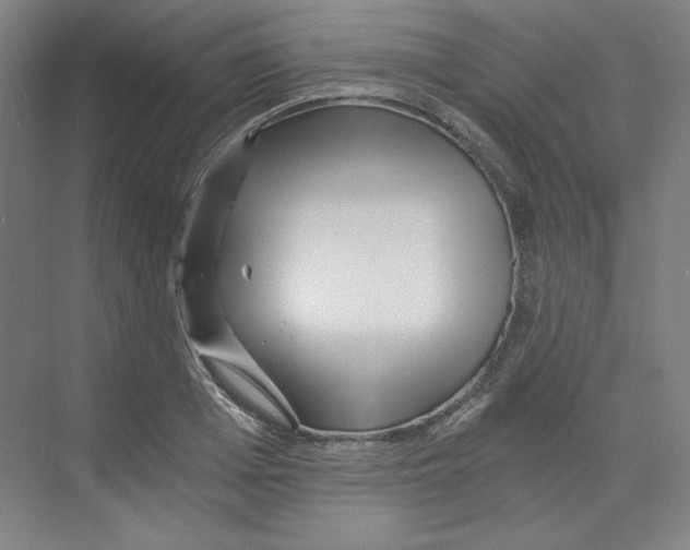 X0000068810985200606021546