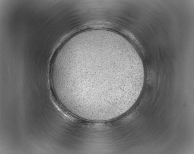 X0000068810986200606021546