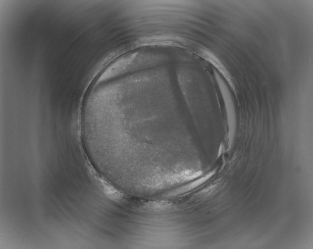 X0000068810994200606021546