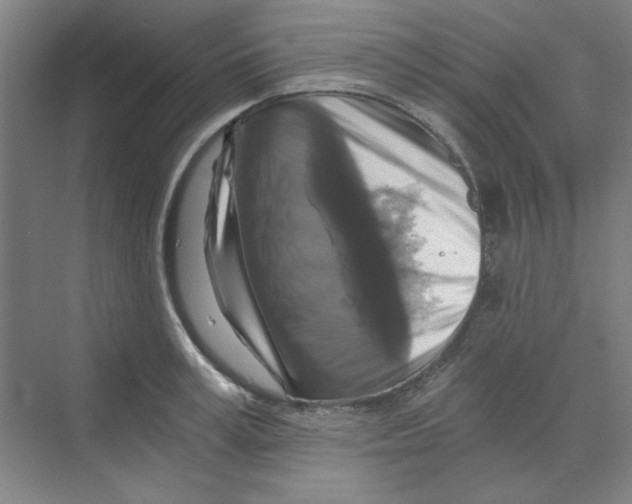 X0000068810995200606021546