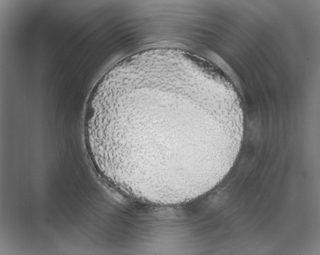 X0000068811002200606021546