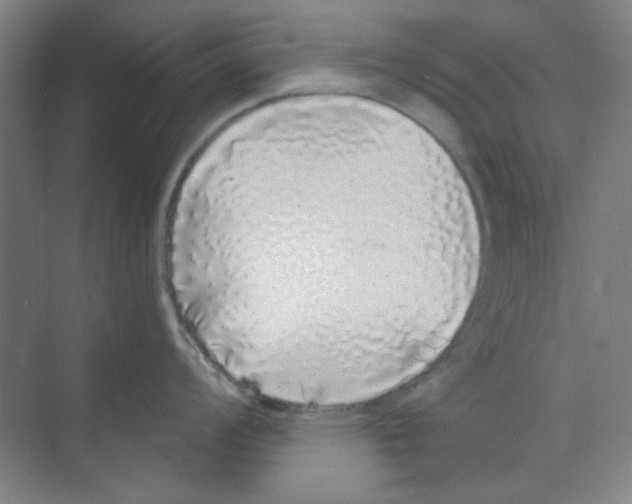 X0000068811008200606021546