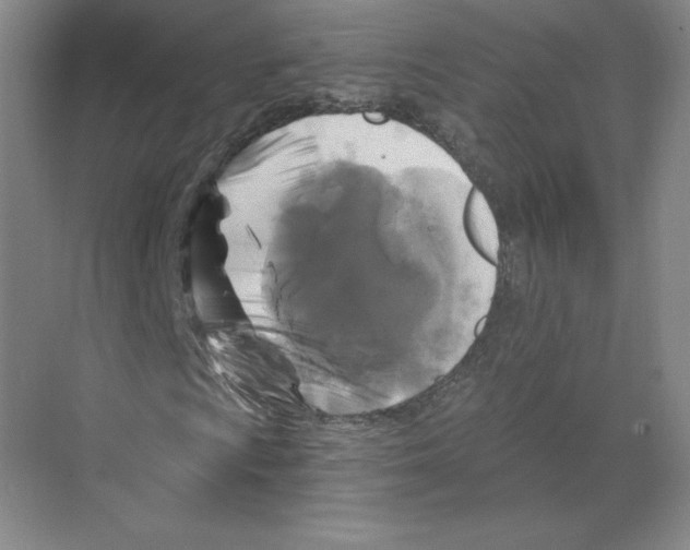 X0000068811009200606021545