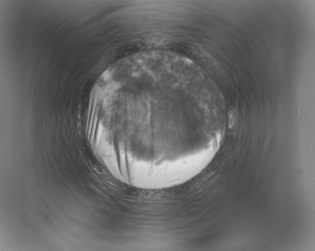 X0000068811011200606021545