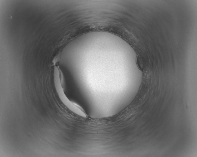 X0000068811012200606021545