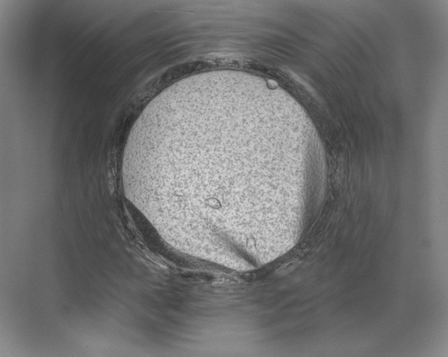 X0000068811015200606021545