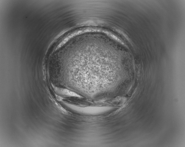 X0000068811018200606021545