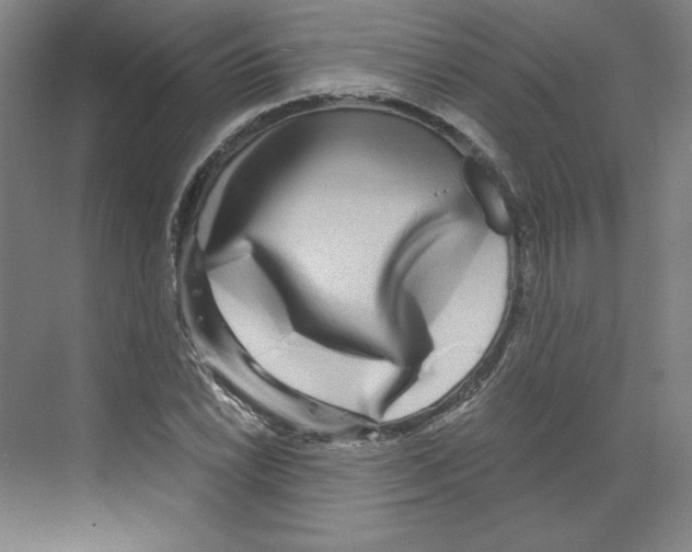 X0000068811022200606021545