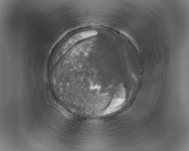 X0000068811023200606021545