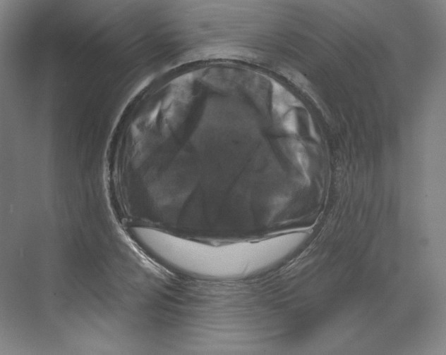 X0000068811024200606021545
